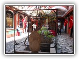 DSCN0584