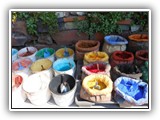 DSCN0645