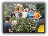Erntefest 2013 010