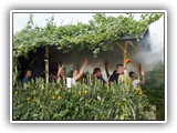 Erntefest 2013 047