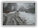 IMG_4231