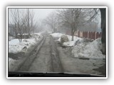 IMG_4253