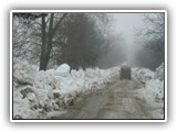 IMG_4262