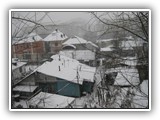 IMG_4377